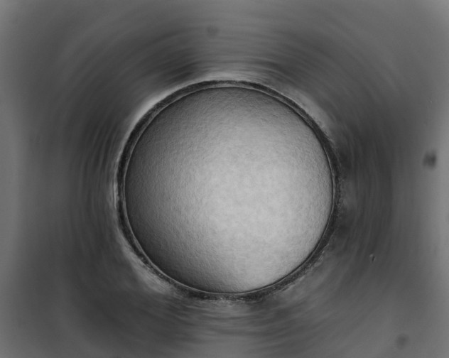 X0000101210980200807071334