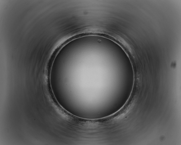 X0000101210981200807071334