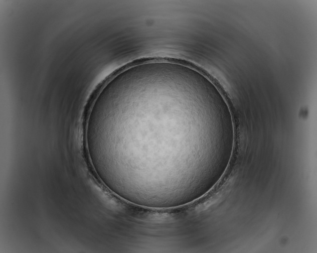 X0000101210982200807071334