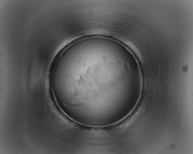 X0000101210983200807071334