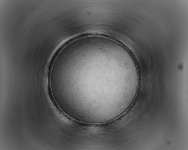 X0000101210984200807071334