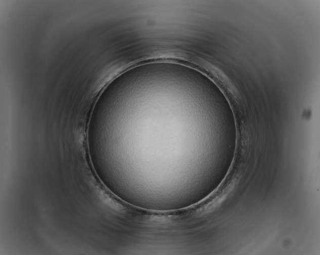 X0000101210985200807071334