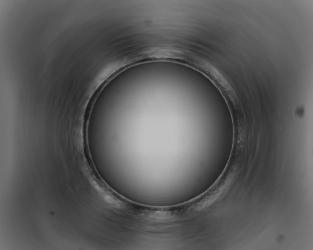 X0000101210986200807071334