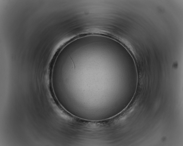 X0000101210987200807071334