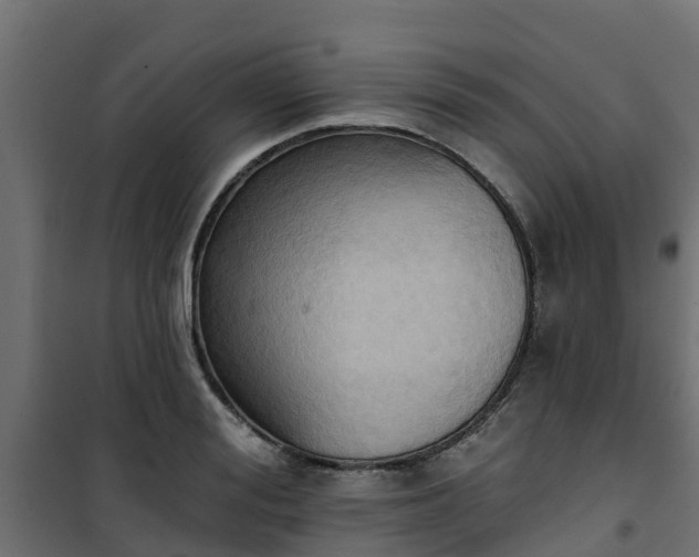 X0000101210988200807071334