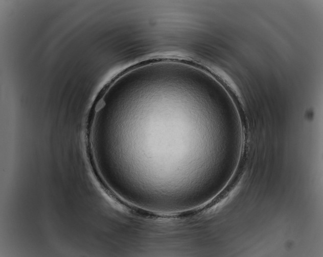 X0000101210989200807071334