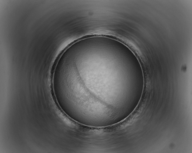 X0000101210990200807071334