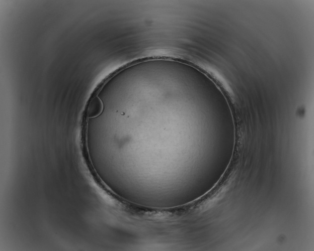 X0000101210991200807071334