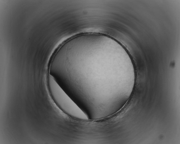 X0000101210992200807071334