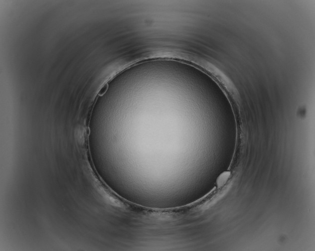 X0000101210993200807071334