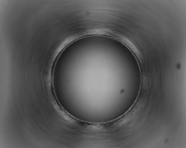 X0000101210994200807071334