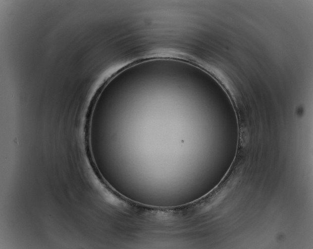 X0000101210995200807071334