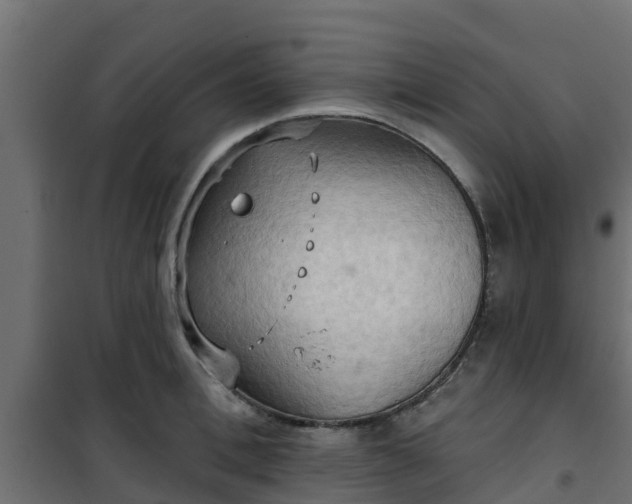 X0000101210996200807071334