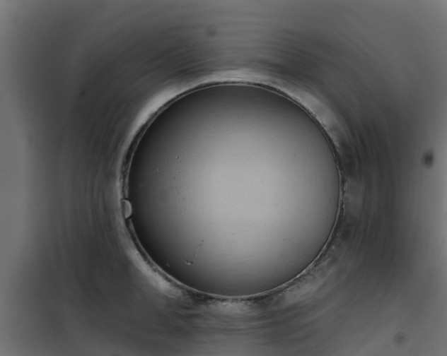 X0000101210998200807071334