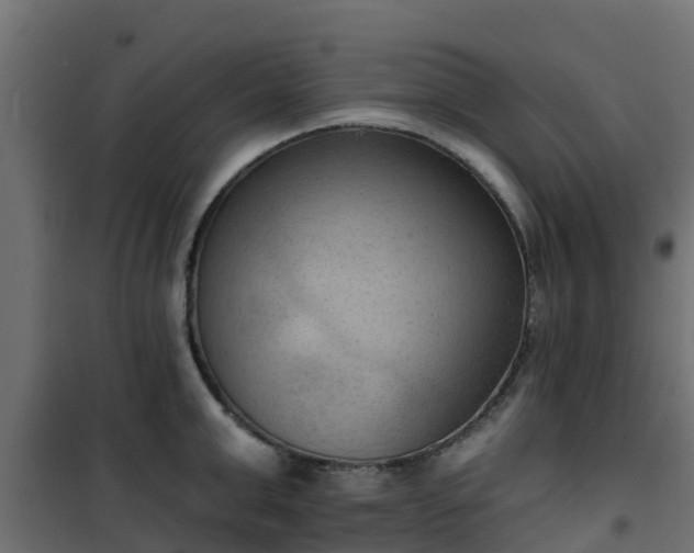 X0000101210999200807071334