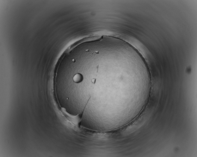 X0000101211000200807071334