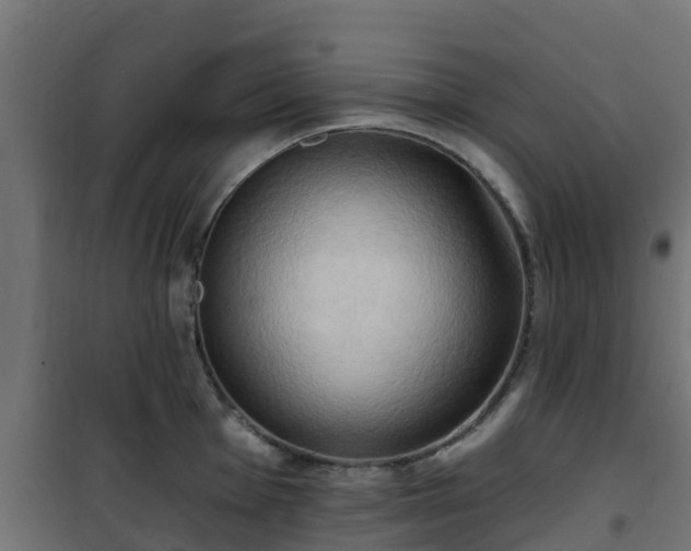 X0000101211001200807071334