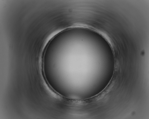 X0000101211003200807071334