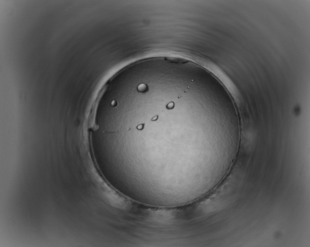 X0000101211004200807071334