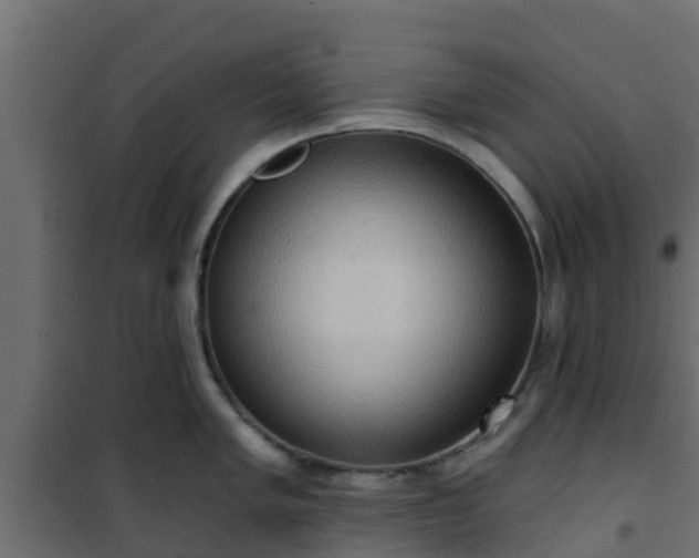 X0000101211005200807071334