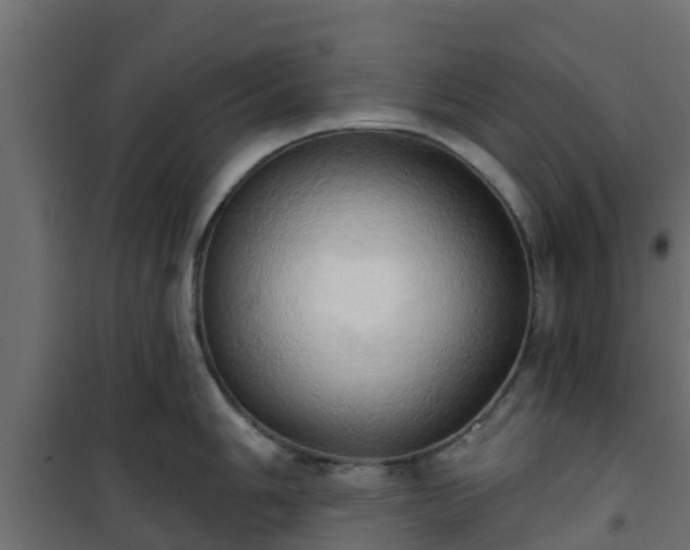 X0000101211006200807071334