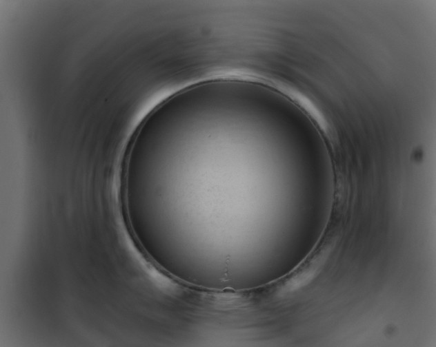 X0000101211007200807071334