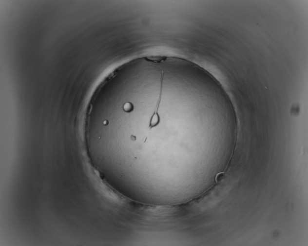 X0000101211008200807071334