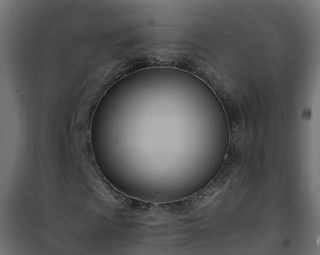 X0000101211009200807071333