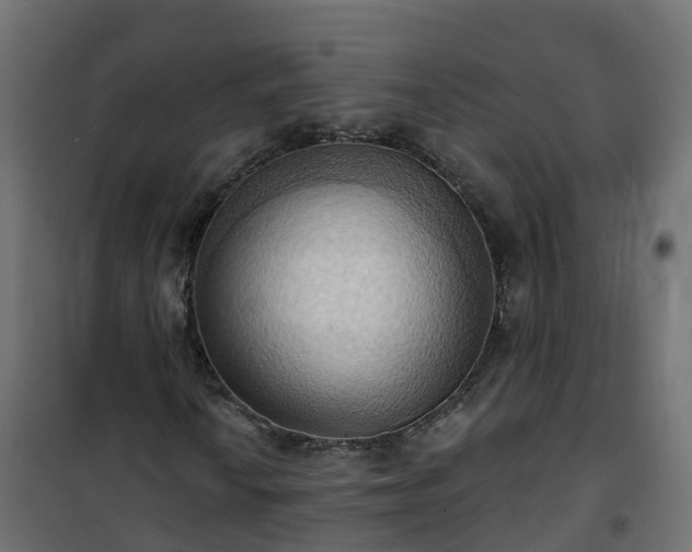 X0000101211010200807071333