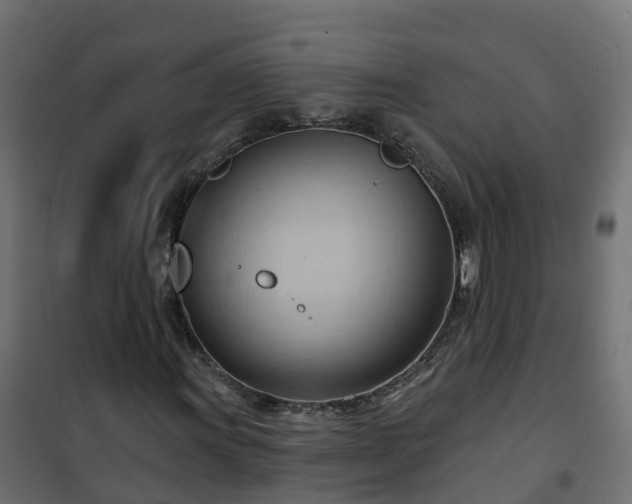 X0000101211011200807071333