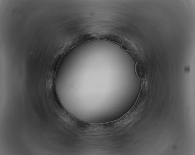 X0000101211012200807071333