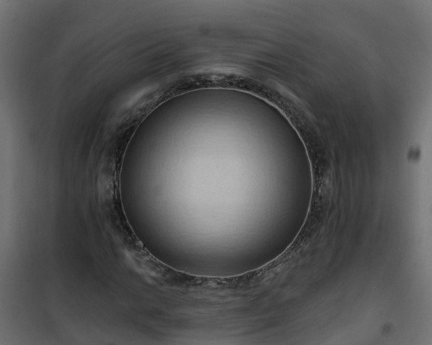 X0000101211014200807071333