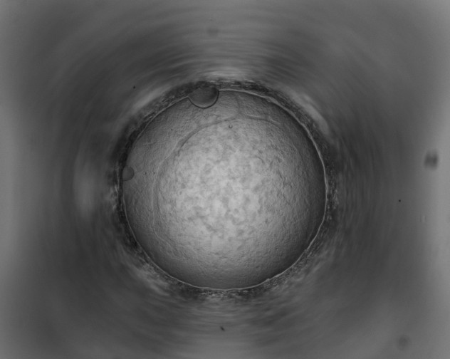 X0000101211015200807071333