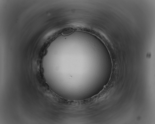 X0000101211016200807071333