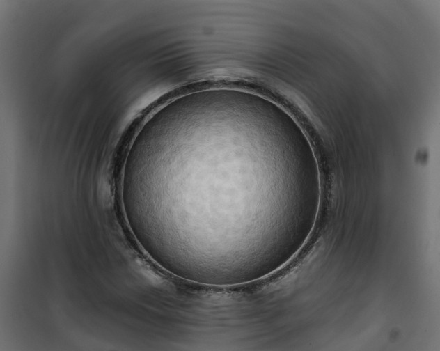 X0000101211018200807071333