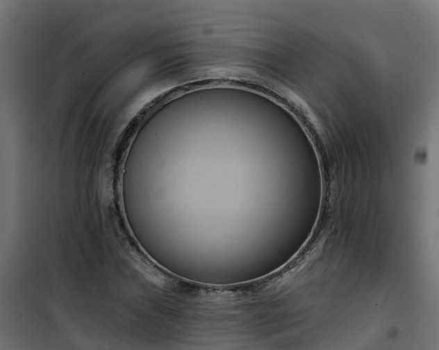 X0000101211019200807071333