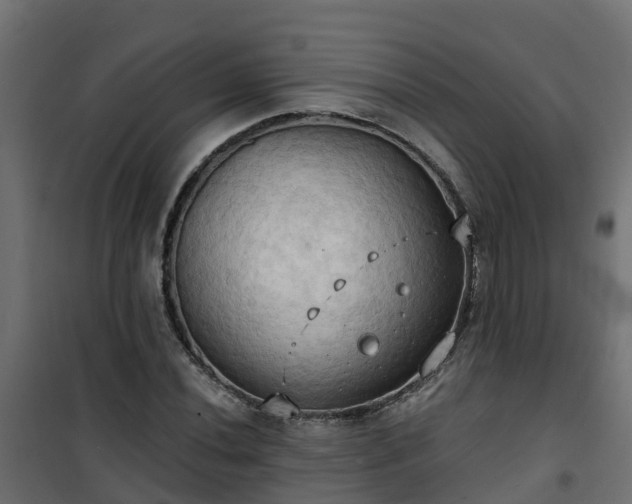 X0000101211020200807071333