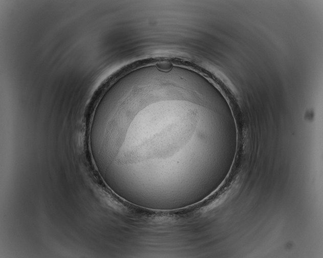 X0000101211021200807071333