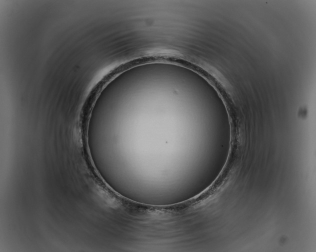 X0000101211022200807071333