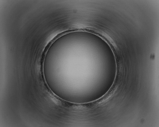 X0000101211023200807071333