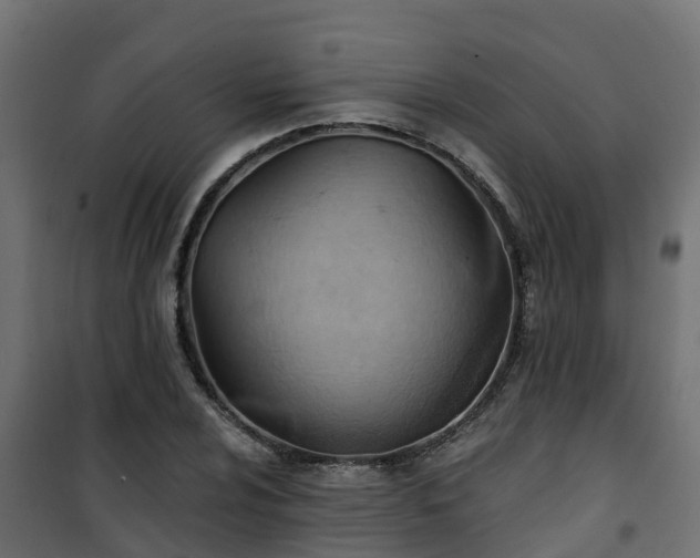 X0000101211024200807071333