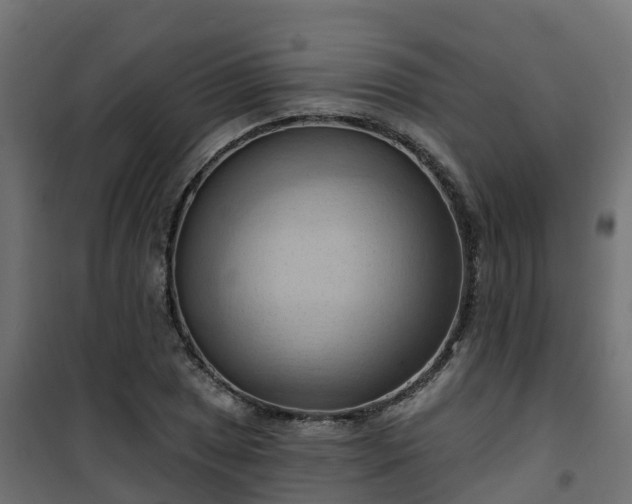 X0000101211025200807071333