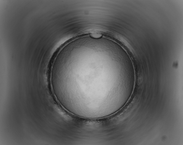 X0000101211026200807071333