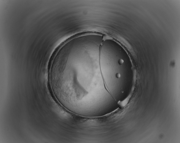 X0000101211028200807071333