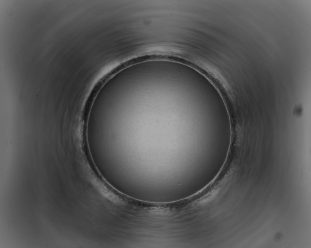 X0000101211029200807071333