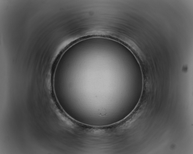 X0000101211030200807071333