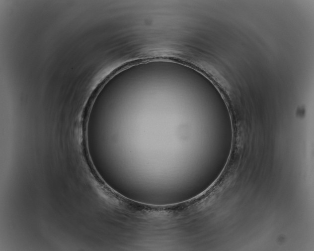 X0000101211031200807071333