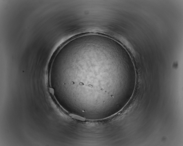 X0000101211032200807071333