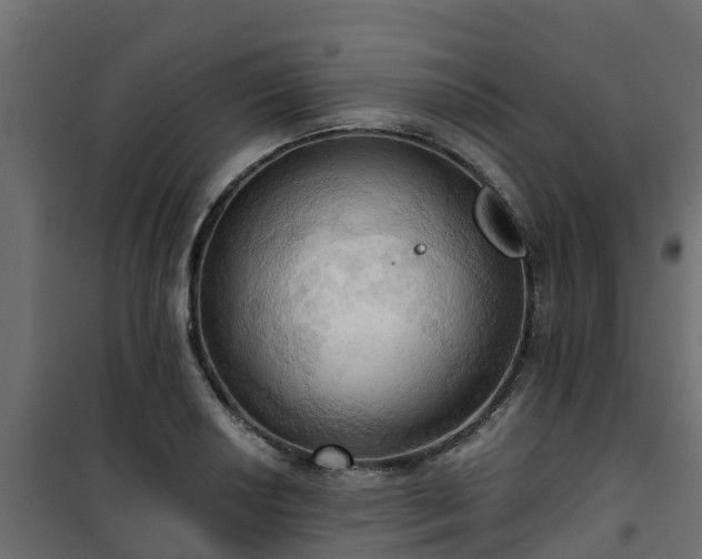 X0000101211034200807071333