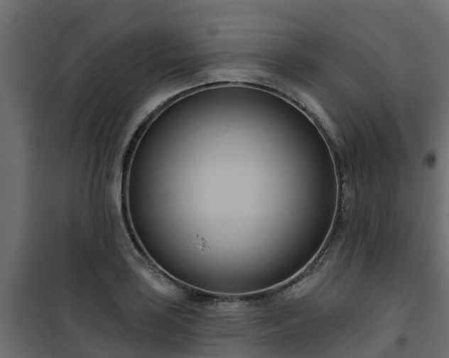 X0000101211035200807071333